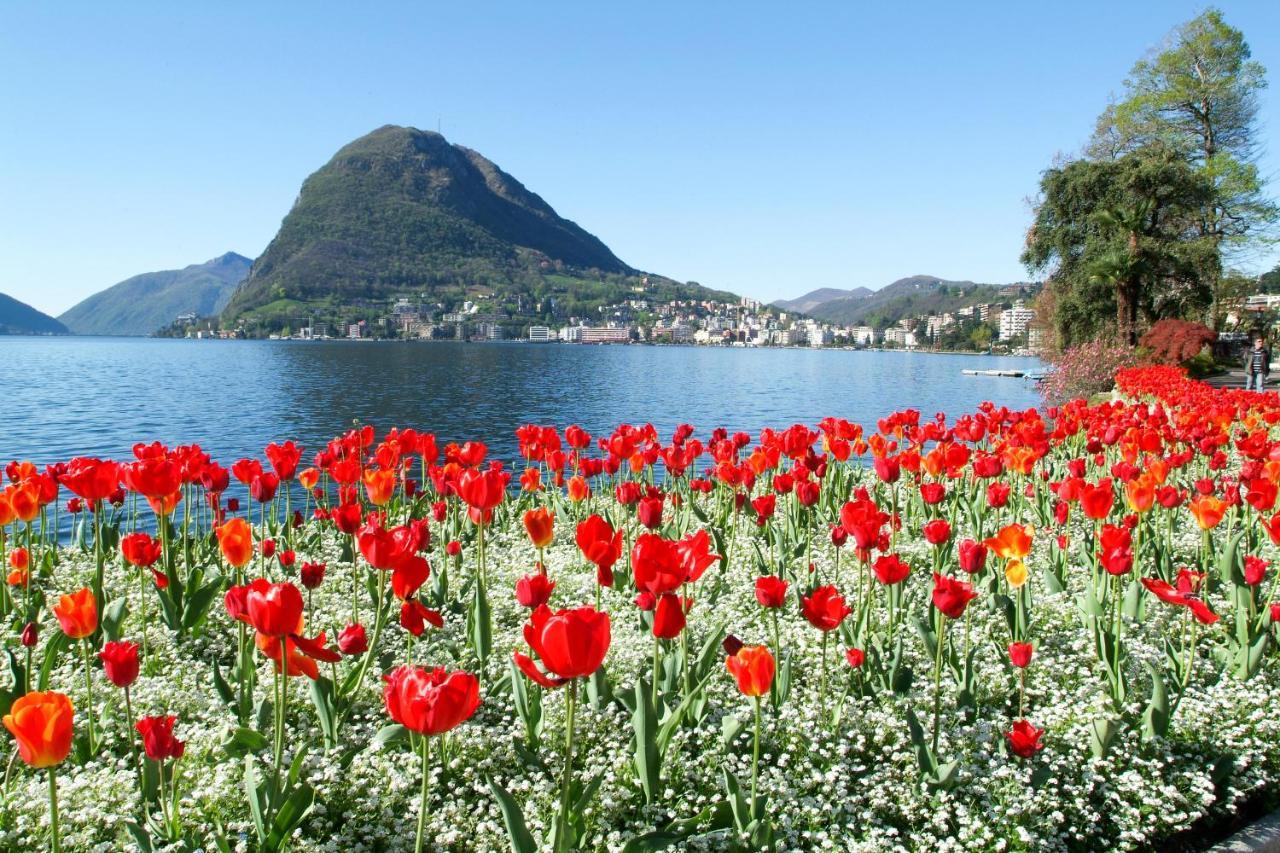Piccola Grecia 6 Apartman Lugano Kültér fotó